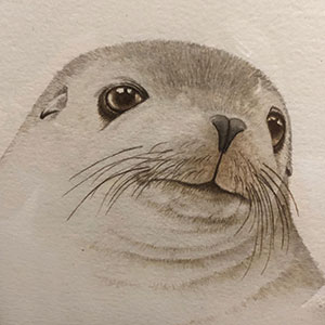Airport Art - Mel Berris - Seal Pup Airport Art - Mel Berris - Seal Pup