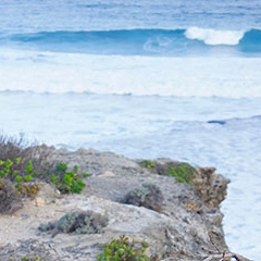 Airport_Pennington-Bay-Cliff-top_Merendi-Y Airport_Pennington-Bay-Cliff-top_Merendi-Y