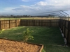 Cat Enclosure 03