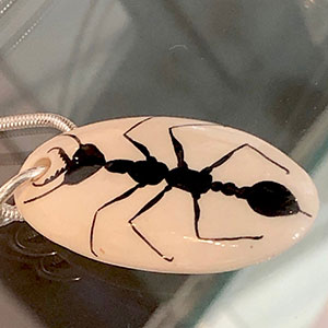 Ant Series