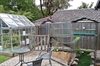 Cat Enclosure 17