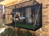 Cat Enclosure 06