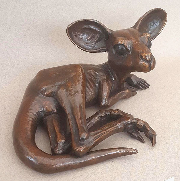 Little Roo Little_Roo