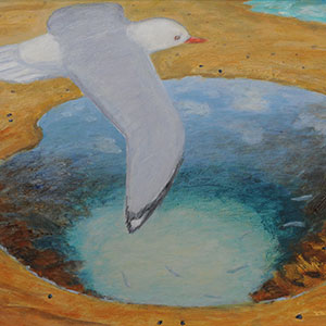 Airport Art - Jenny Clapson - Rockpool Series Airport Art - Jenny Clapson - Rockpool Series
