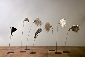 Deb Sleeman Seven Sisters