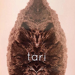 Airport_Tari-self-pub_Alecto-K Airport_Tari-self-pub_Alecto-K