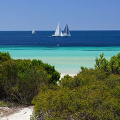 Airport_Island-Beach-Path_Merendi-Y Airport_Island-Beach-Path_Merendi-Y