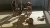 Cat Enclosure 12