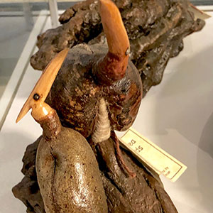 Airport Art - Coral Duncan - Hakea Bird Sculpture I & II Airport Art - Coral Duncan - Hakea Bird Sculpture I & II