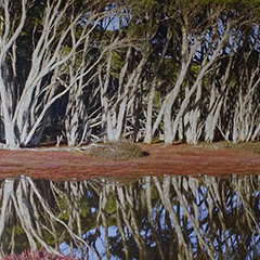 Airport_Autumn-Reflections-Chapman-River_Merendi-Y Airport_Autumn-Reflections-Chapman-River_Merendi-Y