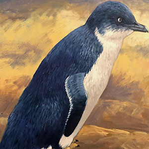 Airport Art - Nick Pike - Penguin Airport Art - Nick Pike - Penguin