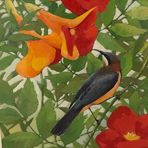 Airport Art - Nick Pike - Spinebill Airport Art - Nick Pike - Spinebill