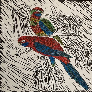 AudreyHarnett_CrimsonRosellas