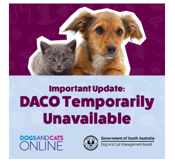 DACO Temporarily Unavailable DACO Temporarily Unavailable