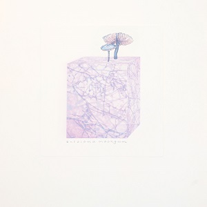 MicheleLane_EntolomaHygrocyboSeries